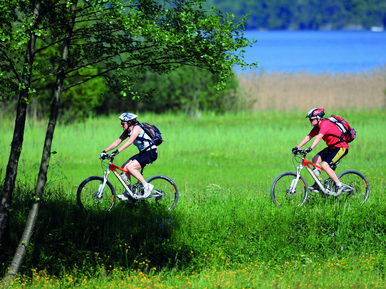 E-Bike am Wolfgangsee