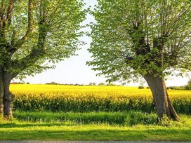 2 Tage im Schlossgut Gross Schwansee erholen