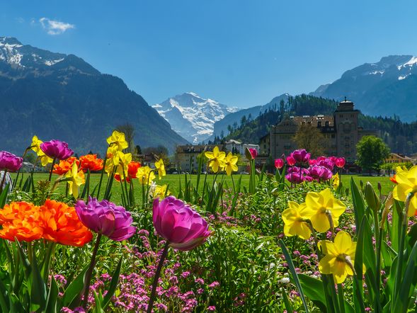 9 Tage im malerischen Lugano am See