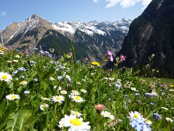 9 Tage Schweiz genießen im Hotel Sternen