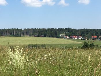 Harz & Hängebrücke mit Abendessen