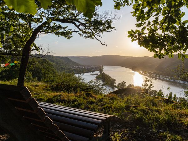 6 Tage Urlaubswoche im Mittelrheintal in Sankt Goar, Rheinland-Pfalz inkl. Halbpension