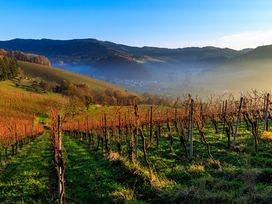3 Erholungstage im Schwarzwald