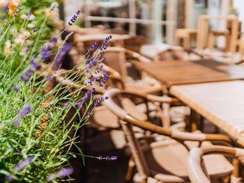 8Tage Best Western Plus Hotel Willingen mit Frühstück