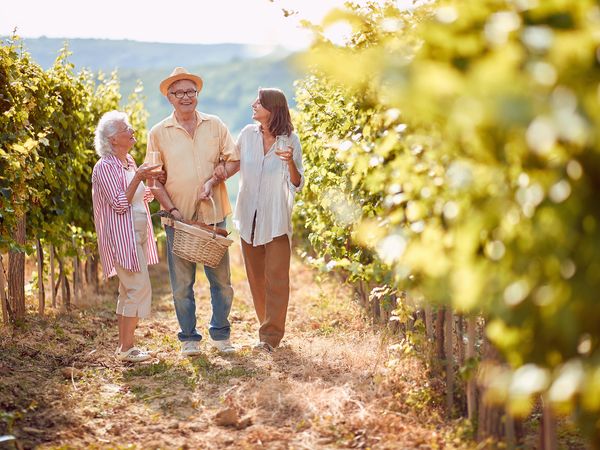 3 Tage Weingenuss in Niederösterreich mit HP in Spitz inkl. Halbpension