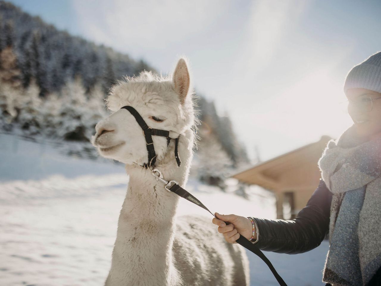 6 Tage Winter-Auszeit im Herzen des Großarltals