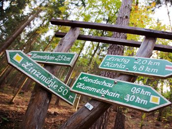 Herbsterwachen im Wald