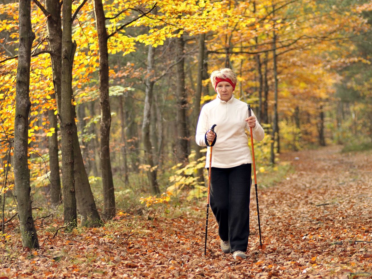 Herbstspecial - WELLNESS