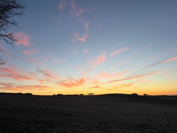 Bild 9 von 11