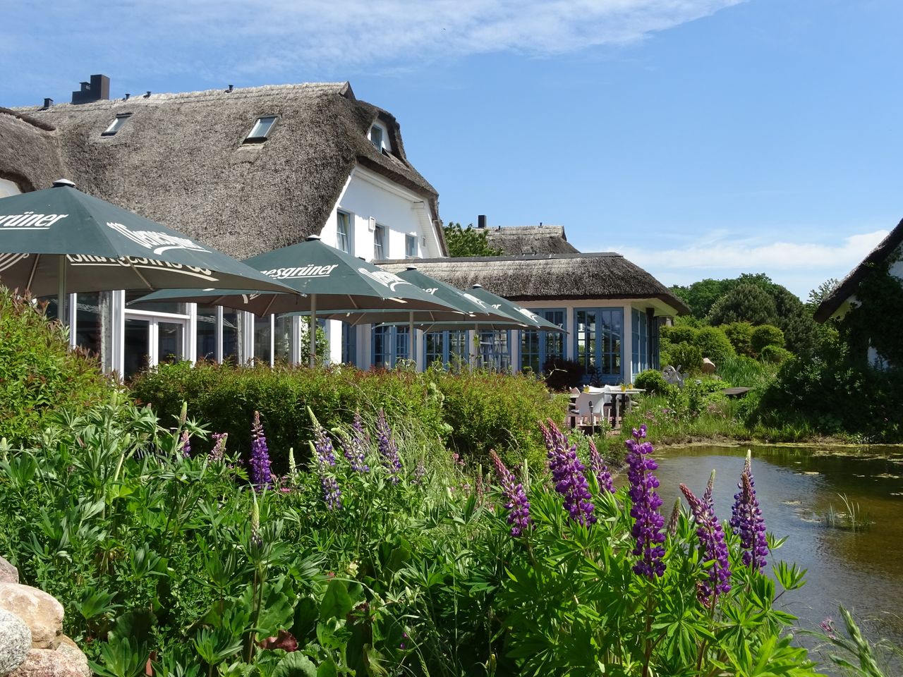 4 Tage Halbpension im Naturparadies auf Rügen