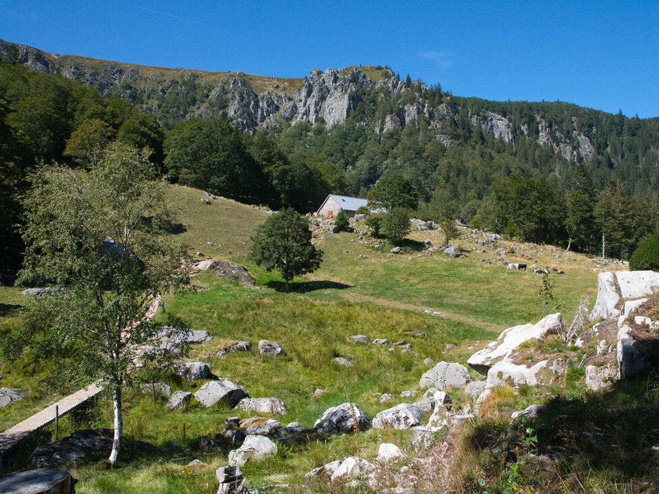 Preiswertes Verwöhnwochenende im Schwarzwald