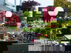 2 Tage bei Hannover verbringen 