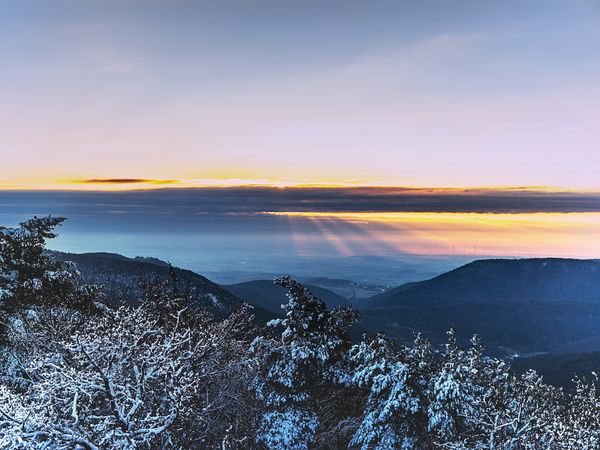 3 Tage – Winterwandern an der Mosel in Löf, Rheinland-Pfalz inkl. Frühstück