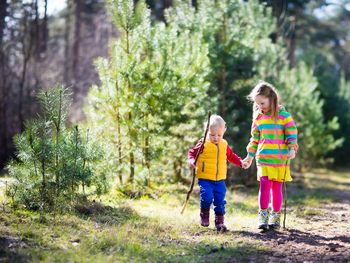 Familienzeit im Bayerischen Wald mit 3* Ferienwohnung