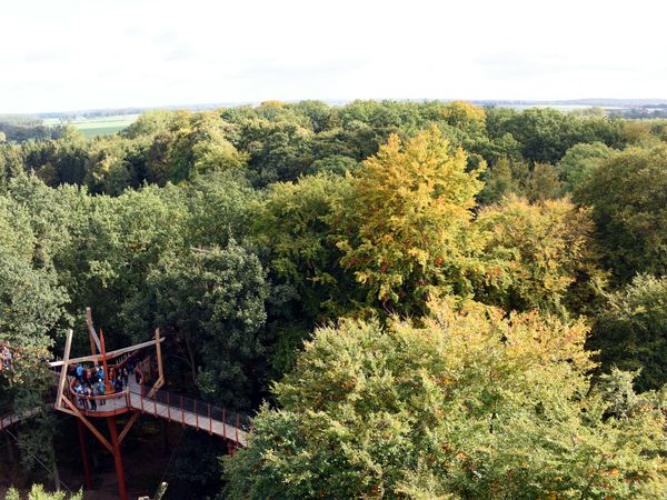 4 Tage Seenplatte: Natur pur rund um Altentreptow, Mecklenburg-Vorpommern inkl. Halbpension