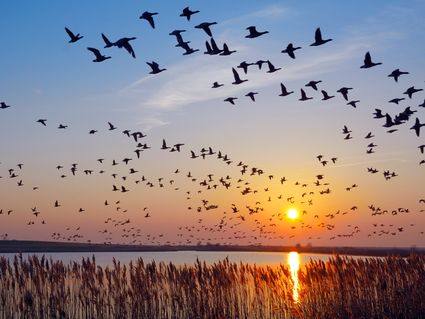 Gemeinsam ans Meer - 6 Tage Kurzurlaub an der Nordsee