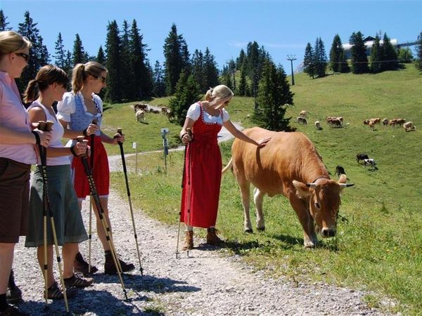 Action und Erholung - 4 Tage im Zugspitzland in Garmisch-Partenkirchen, Bayern inkl. Frühstück