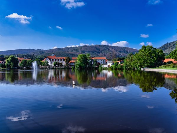 2 Tage Adam & Eva Kuscheltage im Harz in Ilsenburg (Harz), Sachsen-Anhalt inkl. Halbpension