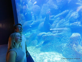 Meeresmuseum Stralsund mit Ticket und Hotel