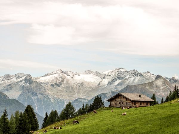 4 Tage Wanderzeit in Bad Hofgastein, Salzburg inkl. Halbpension Plus