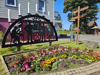 Auszeit im schönen Harz / 5 Tage mit Halbpension