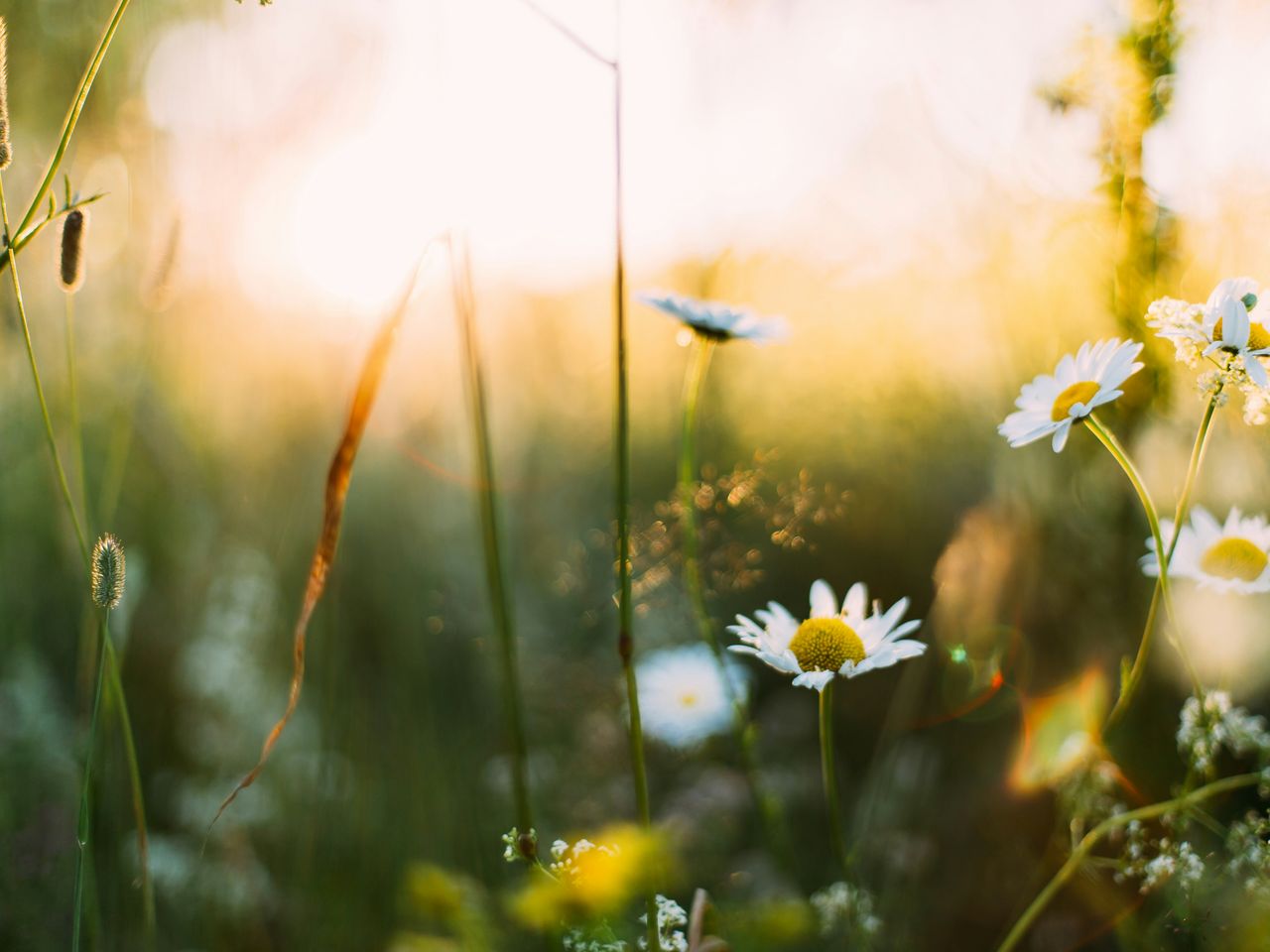 Hello Spring