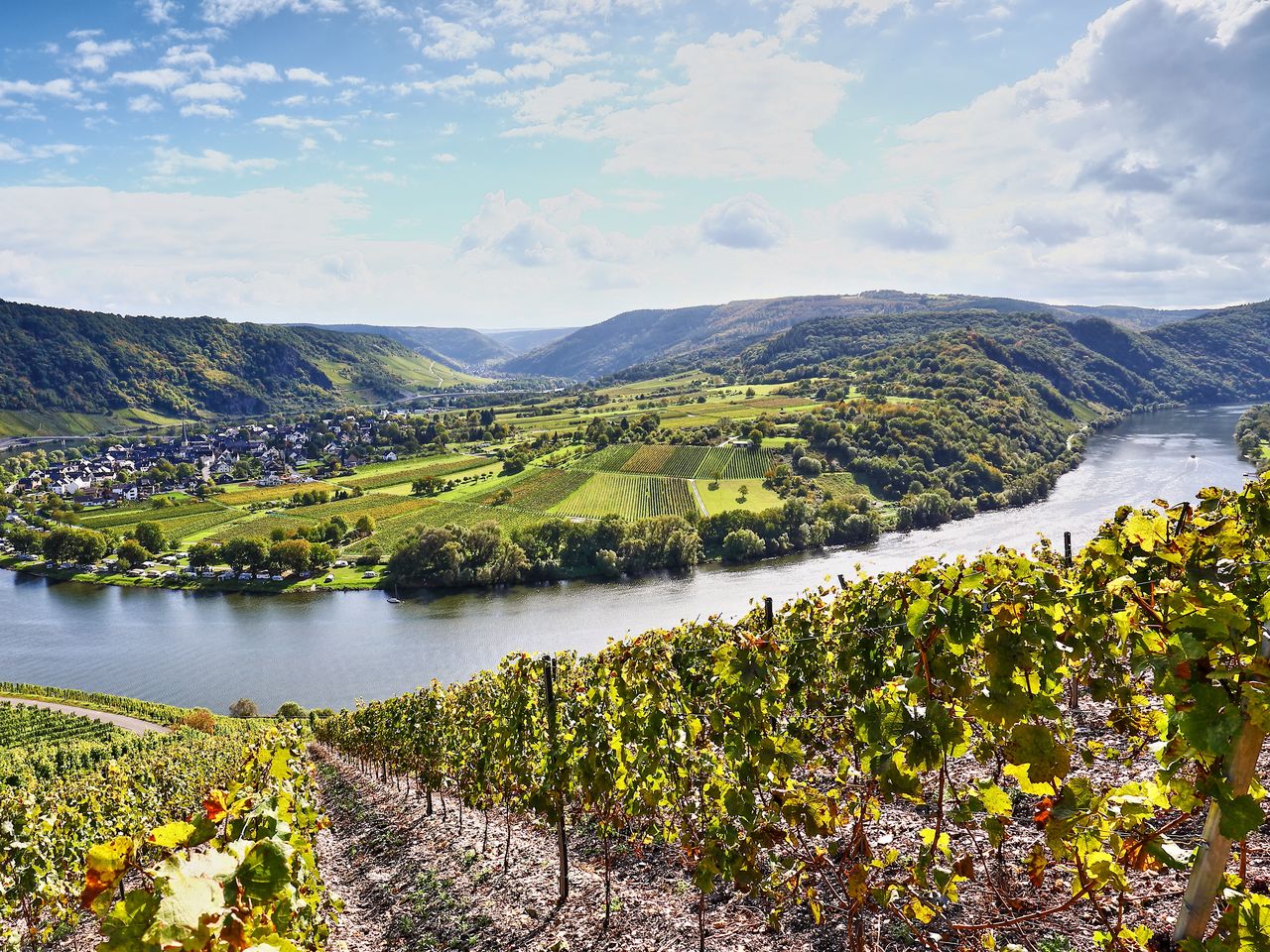 Abstecher an die Mosel