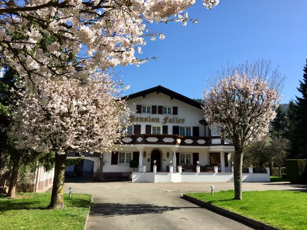3 Tage 4 Familientage im Breisgau - TOP Lage für Ausflüge in Glottertal, Baden-Württemberg inkl. Frühstück