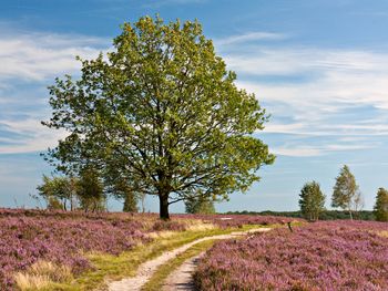 Winterurlaub in der Heide