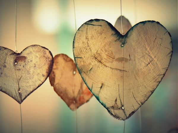 Romantik Arrangement in Blankenburg (Harz) Halbpension