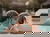 Abschalten in Geinberg - Wellness & Genuss (1N)
