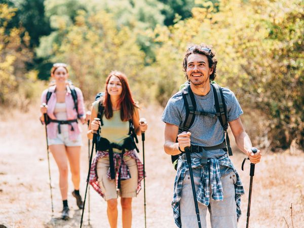 Frühsommerglück im Harz – 4 Tage inkl. Halbpension in Goslar, Niedersachsen inkl. Halbpension