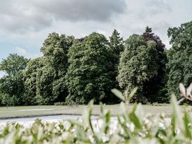 RESET & RIDE - Das Fahrrad-Erlebnis an der Müritz