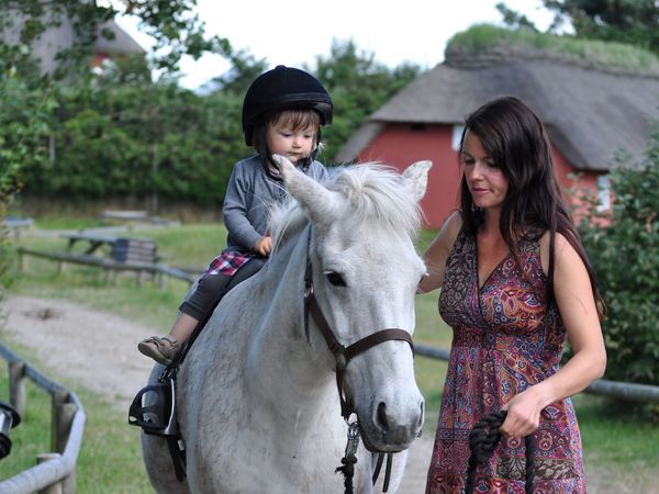 8 Tage 1 Woche Nordsee-Inseltraum mit Ausflug nach Sylt in Havneby Rømø, Syddanmark