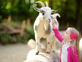 Familien-Erlebnis Wildpark - 4 Tage Lüneburger Heide