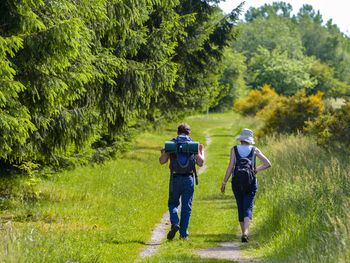 6 Wandertage im National Park Südeifel!