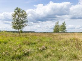 6 Tage Erholung & Naturgenuss im grünen Drenthe