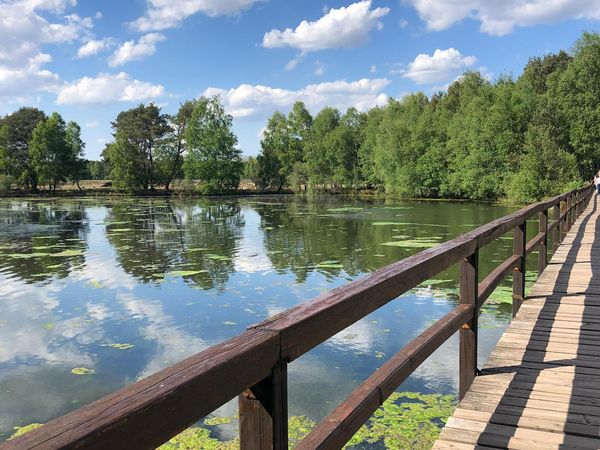 3 Tage Genuss & Spa Erleben in der Heide in Garrel, Niedersachsen inkl. Halbpension