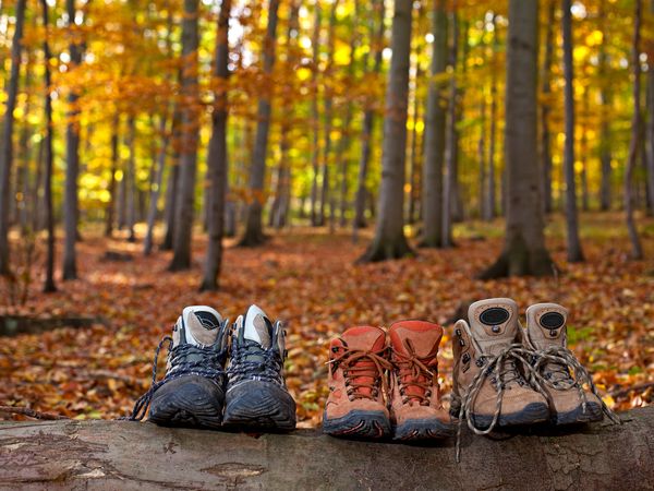 3 Tage Urlaub am Fuße des Brockens mit Frühstück in Ilsenburg (Harz), Sachsen-Anhalt inkl. Frühstück
