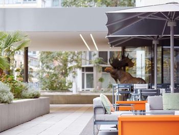 2 Tage Urlaub am Ufer des Mains in Frankfurt