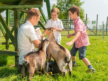 Kurzurlaub im Westerwald (4 Tage)