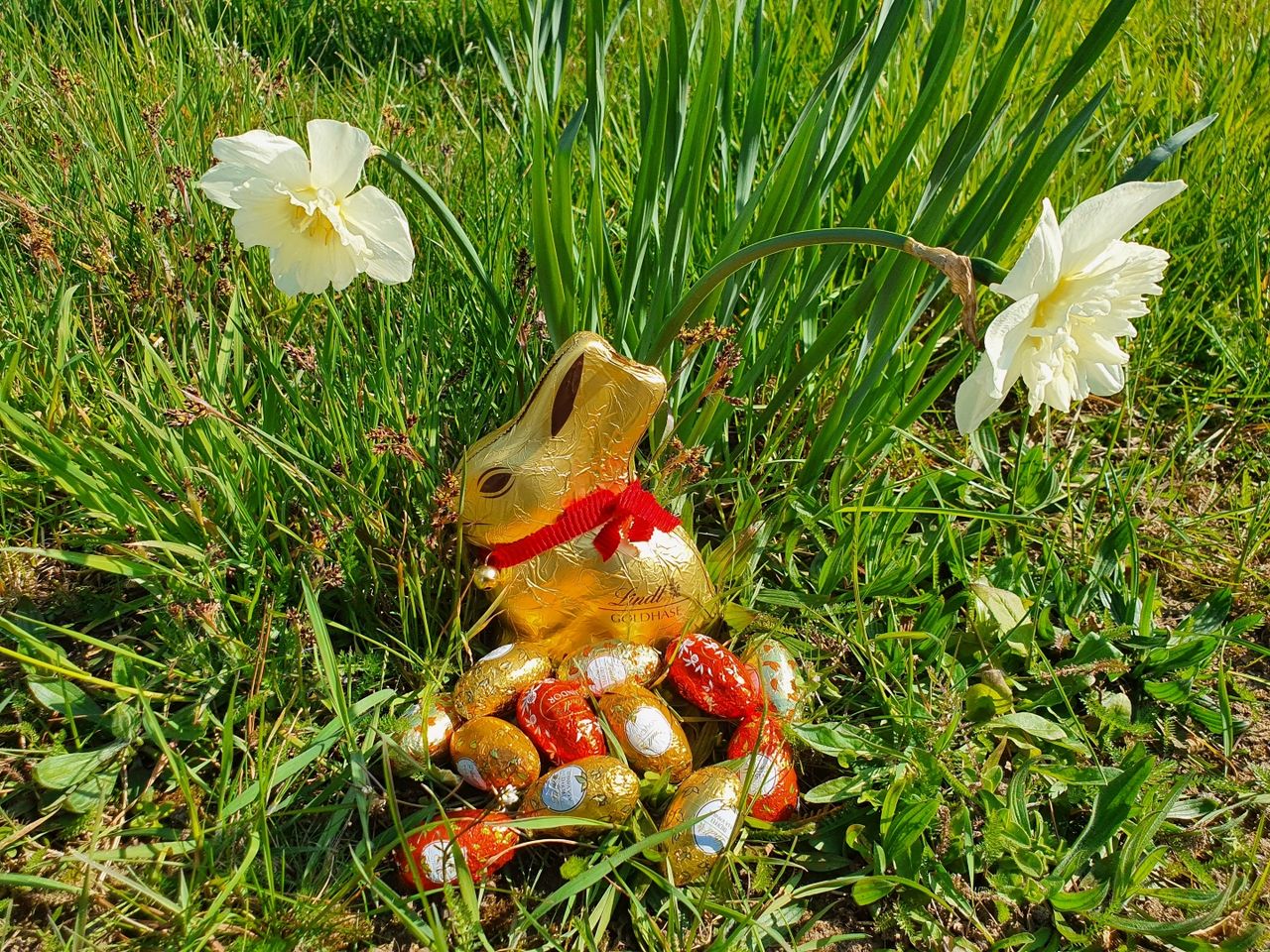 Osterferien im Bergischen Land