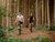2 Wellnesstage mit HP im Berchtesgadener Land