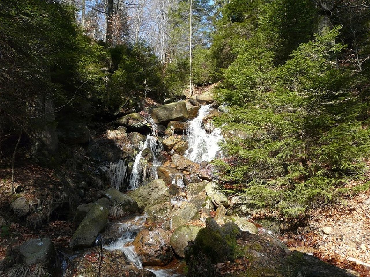 durch den Schnee-verzauberten Harz