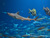 OZEANEUM Stralsund mit Ticket und Hotel