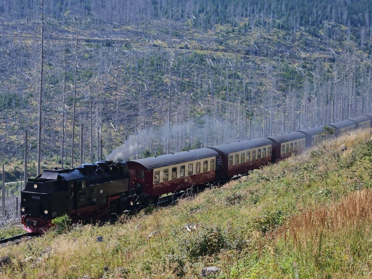 Last Minute Schnäppchen: Winterurlaub im Harz