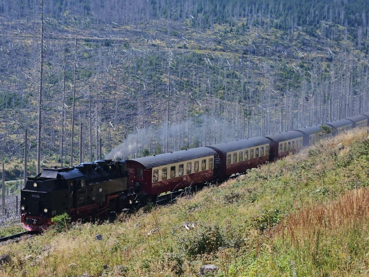 5 Tage Urlaub im Harz - inkl. Halbpension