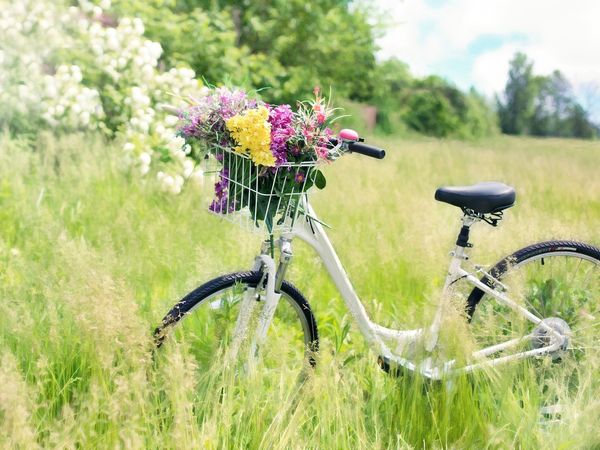 2 Tage Mit dem Rad durch den Spreewald in Lübbenau/Spreewald, Brandenburg inkl. Halbpension