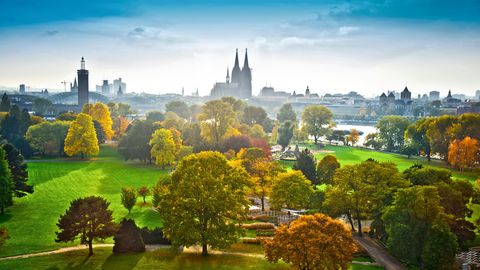 Rheinpark in Köln