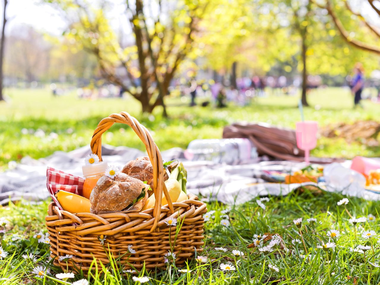 Verschnaufpause in unberührter Natur inkl. Picknick